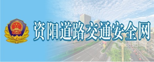 日批舔批资阳道路交通安全网